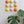 Ceramic Dome Apricot Fizz Set (9)