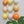 Ceramic Dome Apricot Fizz Set (9)