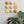 Mixed Apricot Fizz Ceramic Set (9)