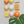 Mixed Apricot Fizz Ceramic Set (9)