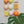 Mixed Apricot Fizz Ceramic Set (9)