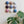 Ceramic Dome Blueberry Hour Set (9)