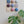 Mixed Blueberry Hour Ceramic Set (9)