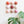 Ceramic Dome Marshmallow Set (9)