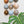 Ceramic Dome Riverbed Set (9)