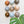Ceramic Dome Riverbed Set (9)