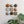 Mixed Riverbed Ceramic Set (9)