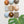 Mixed Riverbed Ceramic Set (9)