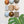 Mixed Riverbed Ceramic Set (9)