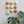 Ceramic Dome Apricot Fizz Set With Creature (9)
