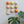 Ceramic Dome Apricot Fizz Set With Creature (9)
