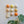 Ceramic Dome Apricot Fizz Set With Creature (9)