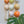 Ceramic Dome Apricot Fizz Set With Creature (9)