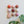 Ceramic Dome Marshmallow Set With Creature (9)