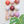 Ceramic Dome Marshmallow Set With Creature (9)