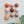 Ceramic Dome Marshmallow Set With Creature (9)