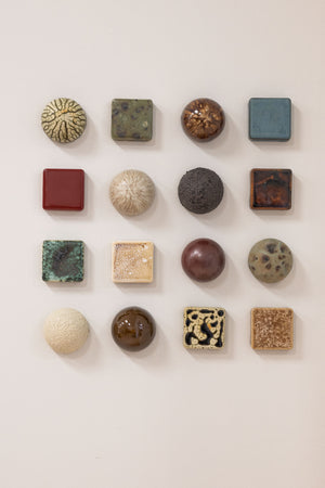 Fossil Bed Mixed Set (16)