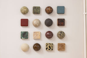 Fossil Bed Mixed Set (16)