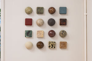 Fossil Bed Mixed Set (16)