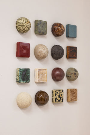 Fossil Bed Mixed Set (16)