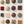 Fossil Bed Mixed Set (16)