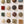Fossil Bed Mixed Set (16)