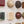 Fossil Bed Mixed Set (16)