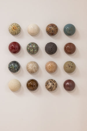 Fossil Bed Ceramic Dome Set (16)