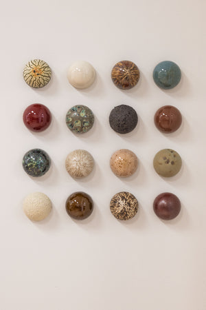 Fossil Bed Ceramic Dome Set (16)