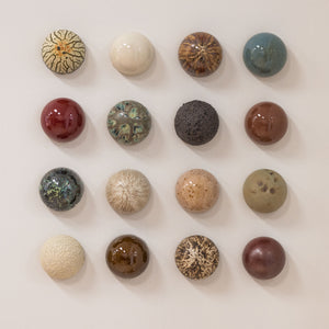 Fossil Bed Ceramic Dome Set (16)