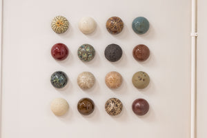 Fossil Bed Ceramic Dome Set (16)