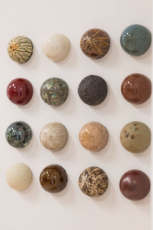Fossil Bed Ceramic Dome Set (16)
