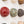 Fossil Bed Ceramic Dome Set (16)