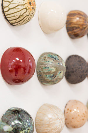 Fossil Bed Ceramic Dome Set (16)