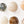 Fossil Bed Ceramic Dome Set (16)