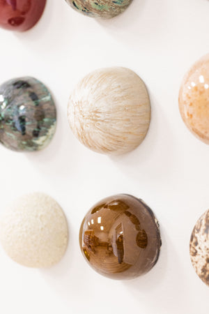 Fossil Bed Ceramic Dome Set (16)