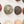 Fossil Bed Ceramic Dome Set (16)