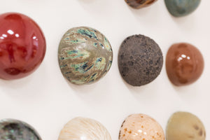 Fossil Bed Ceramic Dome Set (16)