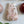 Ceramic Mixed Marshmallow Set With Creature (20)
