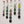 Green Pastures Daisy Chains Display of 5