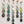 Green Pastures Daisy Chains Display of 5