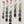 Green Pastures Daisy Chains Display of 5