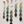 Green Pastures Daisy Chains Display of 5