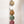 Orchard 5 Link Daisy Chain