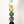 Kelp 5 Link Daisy Chain