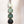 Moss 4 Link Daisy Chain