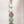 Seaglass 5 Link Daisy Chain