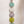 Garden Party 5 Link Daisy Chain