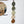 Stone Fruit 5 Link Daisy Chain