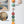 Harvest 5 Link Daisy Chain